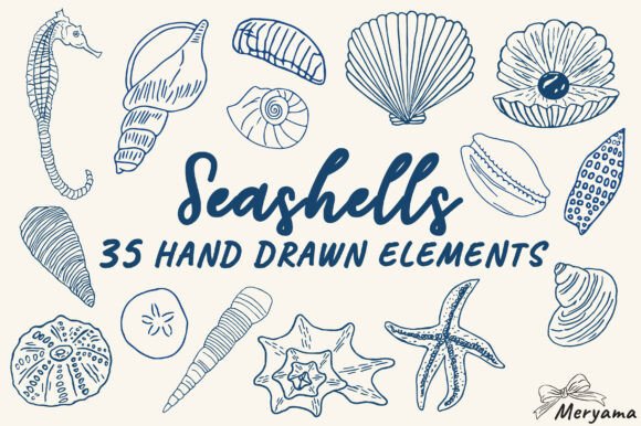 Hand Drawn Summer Seashell SVG PNG Assets