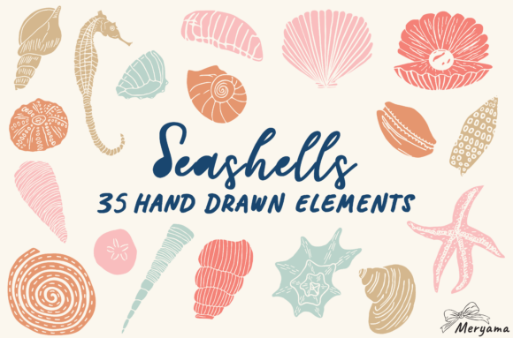 Summer Seashell Hand Drawn Sea Shell PNG